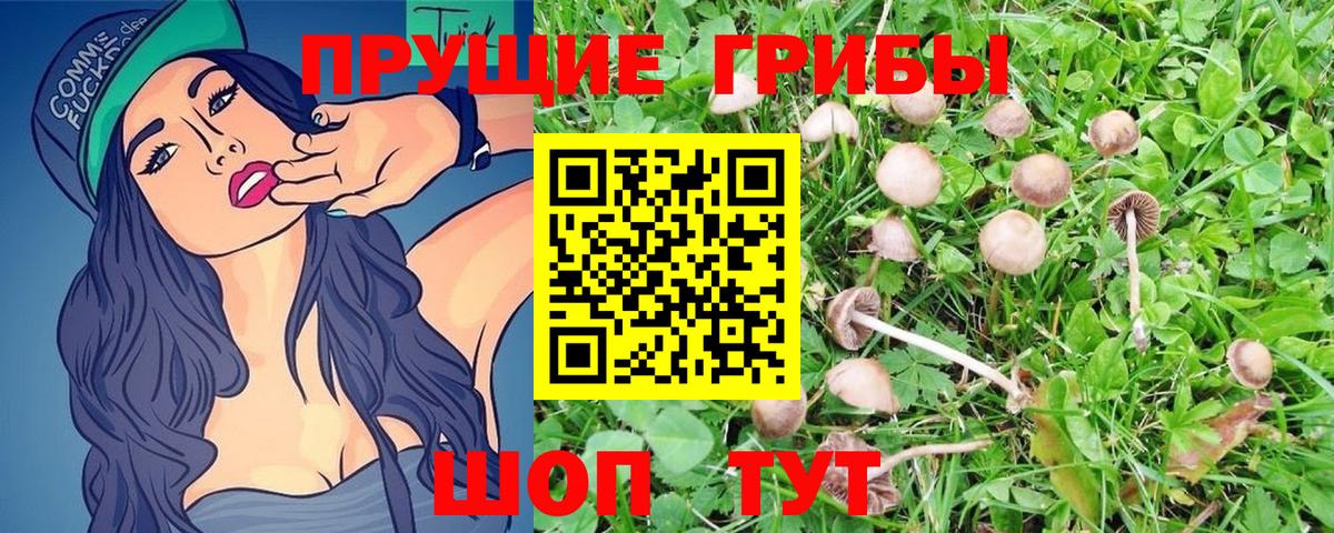 Псилоцибиновые грибы Psilocybine cubensis  Галлюциногенные грибы прущие грибы  Салехард  Вход с VPN 